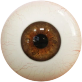 Button – Eye see you